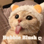 Bubble blush ღ