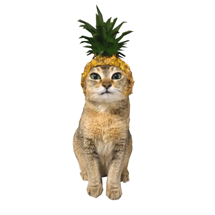 Tole Tole Cat Pineapple Roblox item