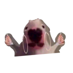 OOF GANG LOL