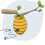 Rexie's Hive
