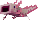 Axolotl