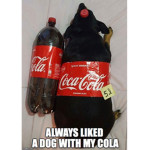 Coke Group.