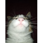 ElBorja