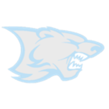 Polar Combat
