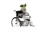 wwhen i gift i gift