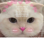 Cult of the kittens