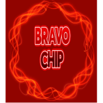 BracoChip Group