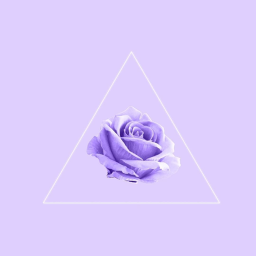 Lavender Skies Parties