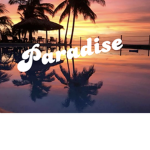 Paradise Wonderland