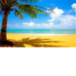 Roblox Vacationers