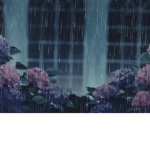 blossoms from light rain
