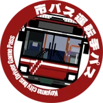 Municipal Bus Driver Pass