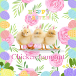 -+*Chicken hangout-*+