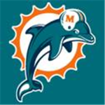 dolphines football team