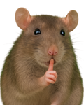 RATATISTICOS