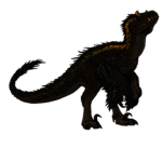deadly raptors