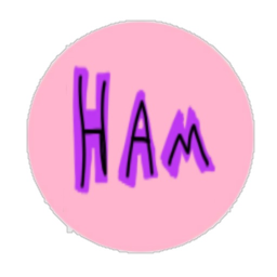 HAM WORLD