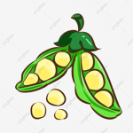 SoyBean Productions