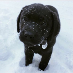 ❄