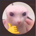 Bingus 2