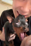 法兰西猎兵营