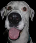 LUNETO