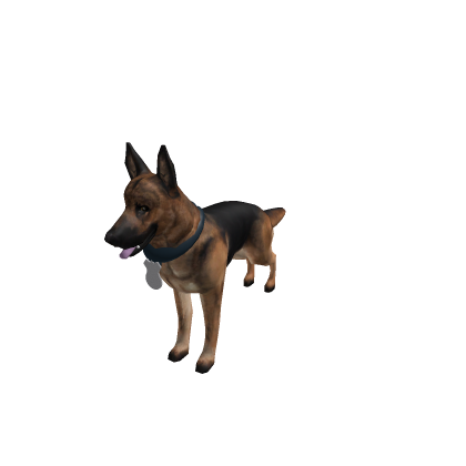 K9