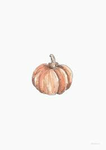 - my little pumpkins! -
