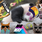 Joshua’s Animal #########