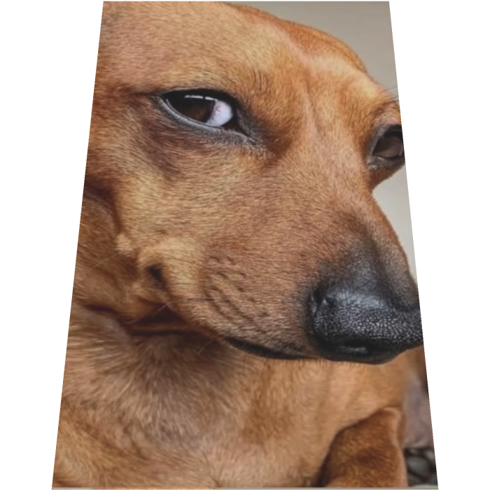 Suspicious Side-Eye Cape