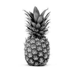 Pineapple Incorporation