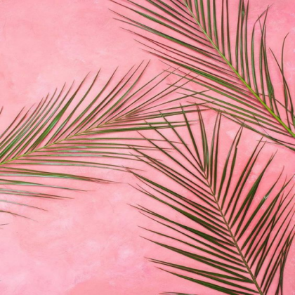 green on pink Roblox decal
