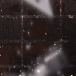 ˚