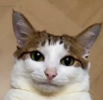 1Games Dev