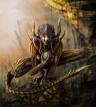 Xeno community | XC