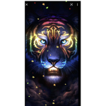 Tiger rainbow