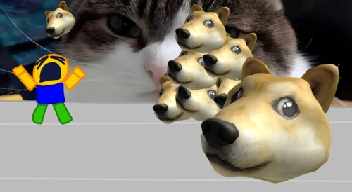 Doge
