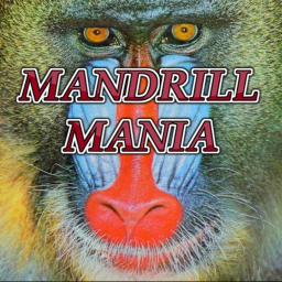 Mandrill Mania [BETA]