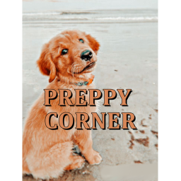 Preppy Corner (NEW MAP!)