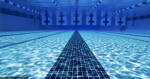 ~Swim Stars~