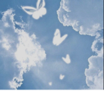 Cloudy..army