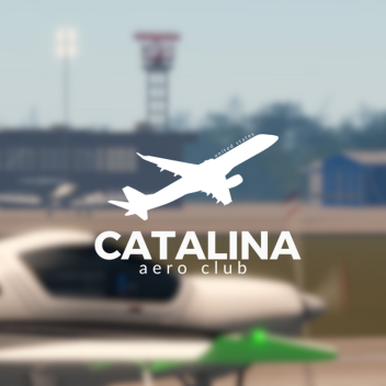 Catalina Regional Airport, United States