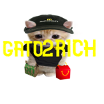gato clothin tc