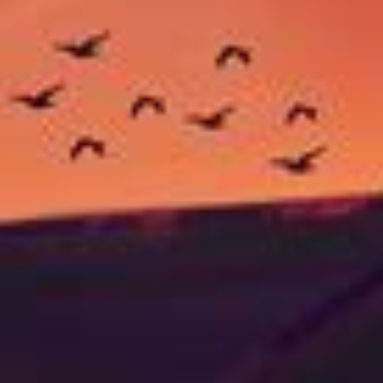 𝐿𝒾𝑔𝒽𝓉 ↲