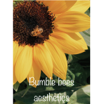 Bumble Bees ##########