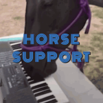 Horse Support Corrections
