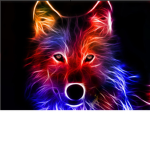 Fox’s and wolfs