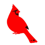 Cardinal Bros Studios