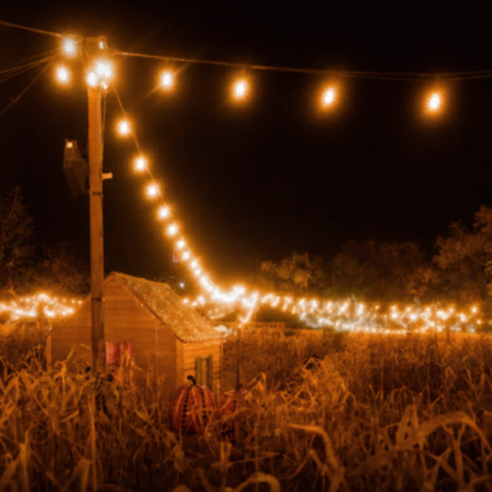 Cozy autumn fall barn yard