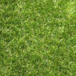 Touch Grass Productions